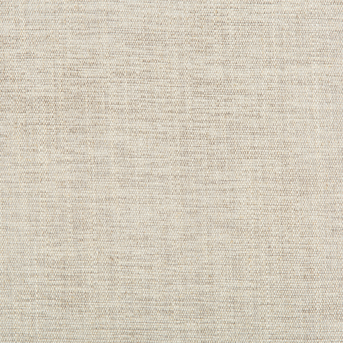 Rutledge fabric in pewter color - pattern 35297.11.0 - by Kravet Basics in the Greenwich collection