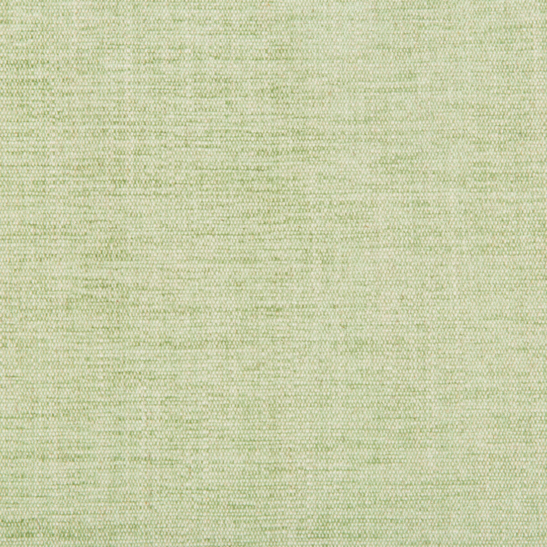 Rutledge fabric in leaf color - pattern 35297.13.0 - by Kravet Basics in the Greenwich collection