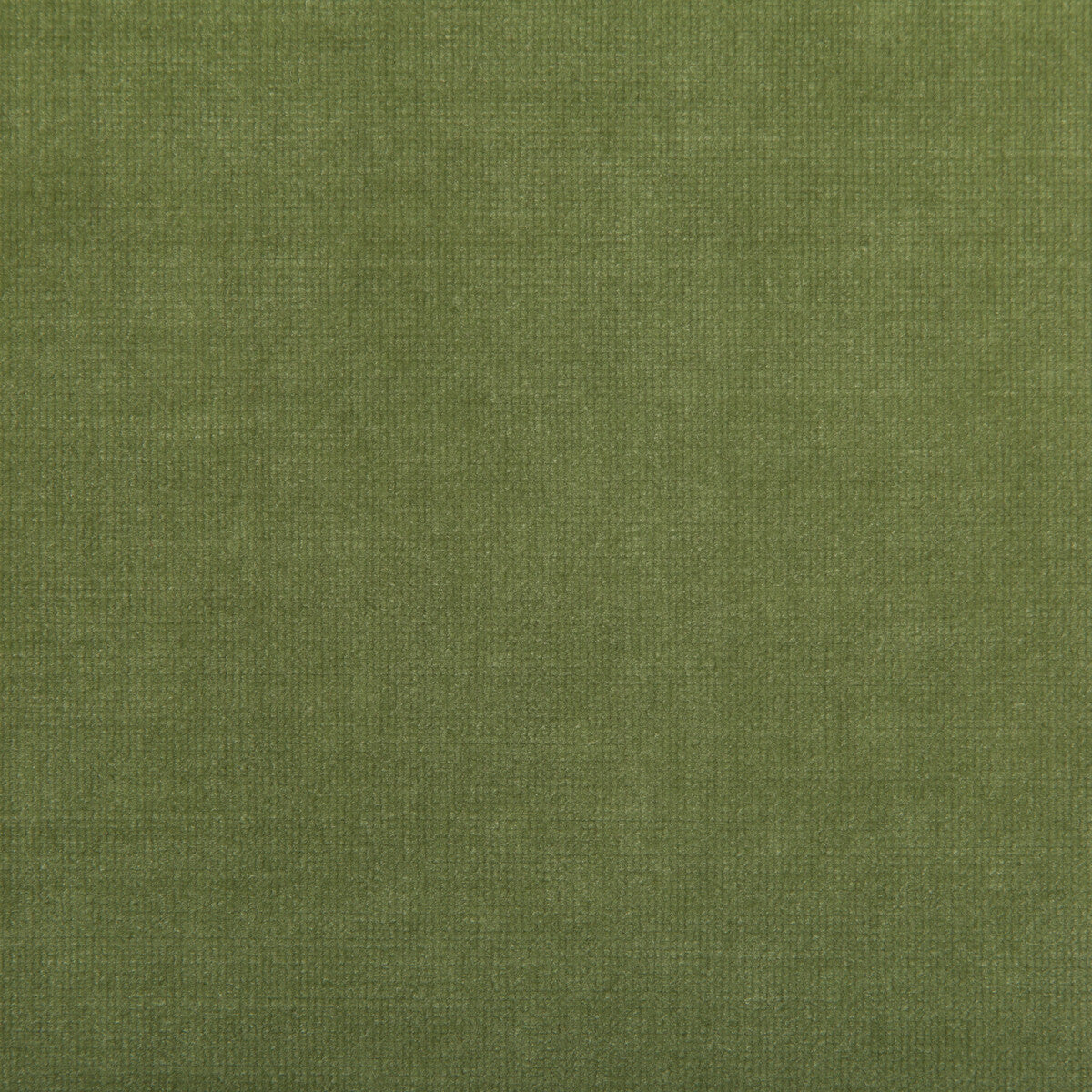 Chessford fabric in leaf color - pattern 35360.333.0 - by Kravet Smart in the Performance collection