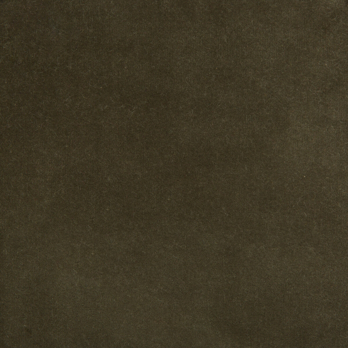 Kravet Design 35366-2111 fabric - pattern 35366.2111.0 - by Kravet Design