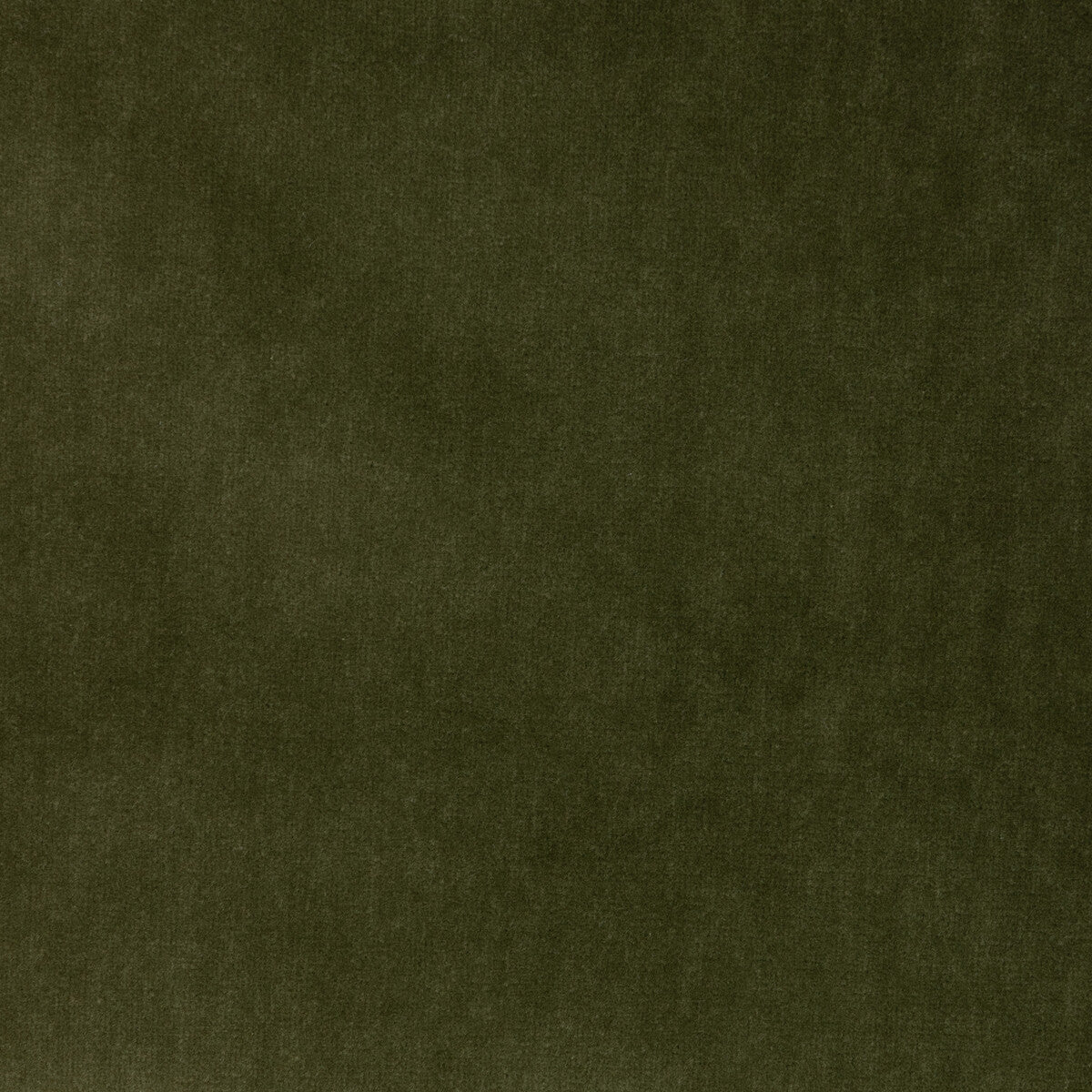 35366 fabric in olive green color - pattern number 35366.330.0 - by Kravet Design in the Versailles Velvets Plus II collection
