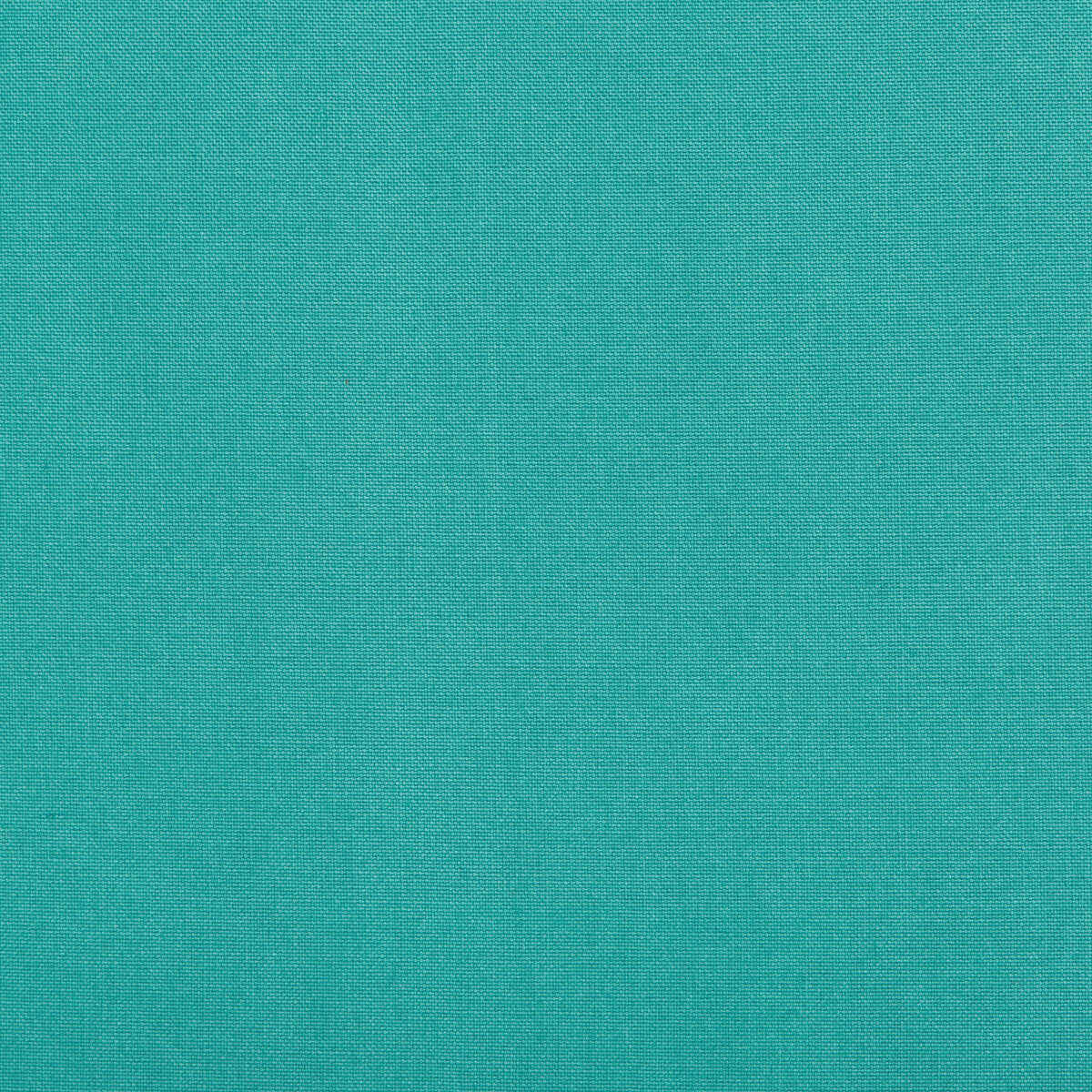 Kf Bas fabric - pattern 35372.13.0 - by Kravet Basics in the Performance Indoor Outdoor collection