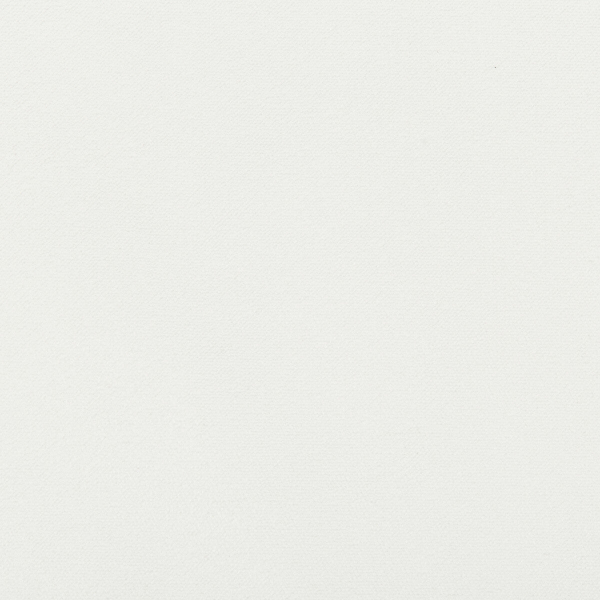 Madison Velvet fabric in snow color - pattern 35402.101.0 - by Kravet Contract