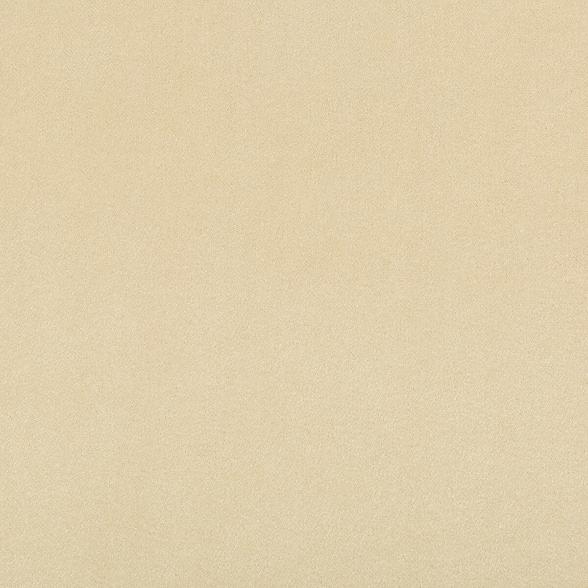 Madison Velvet fabric in papyrus color - pattern 35402.116.0 - by Kravet Contract