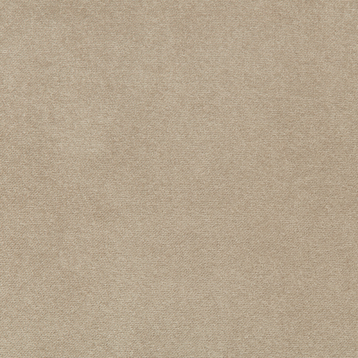 Madison Velvet fabric in porcini color - pattern 35402.16.0 - by Kravet Contract