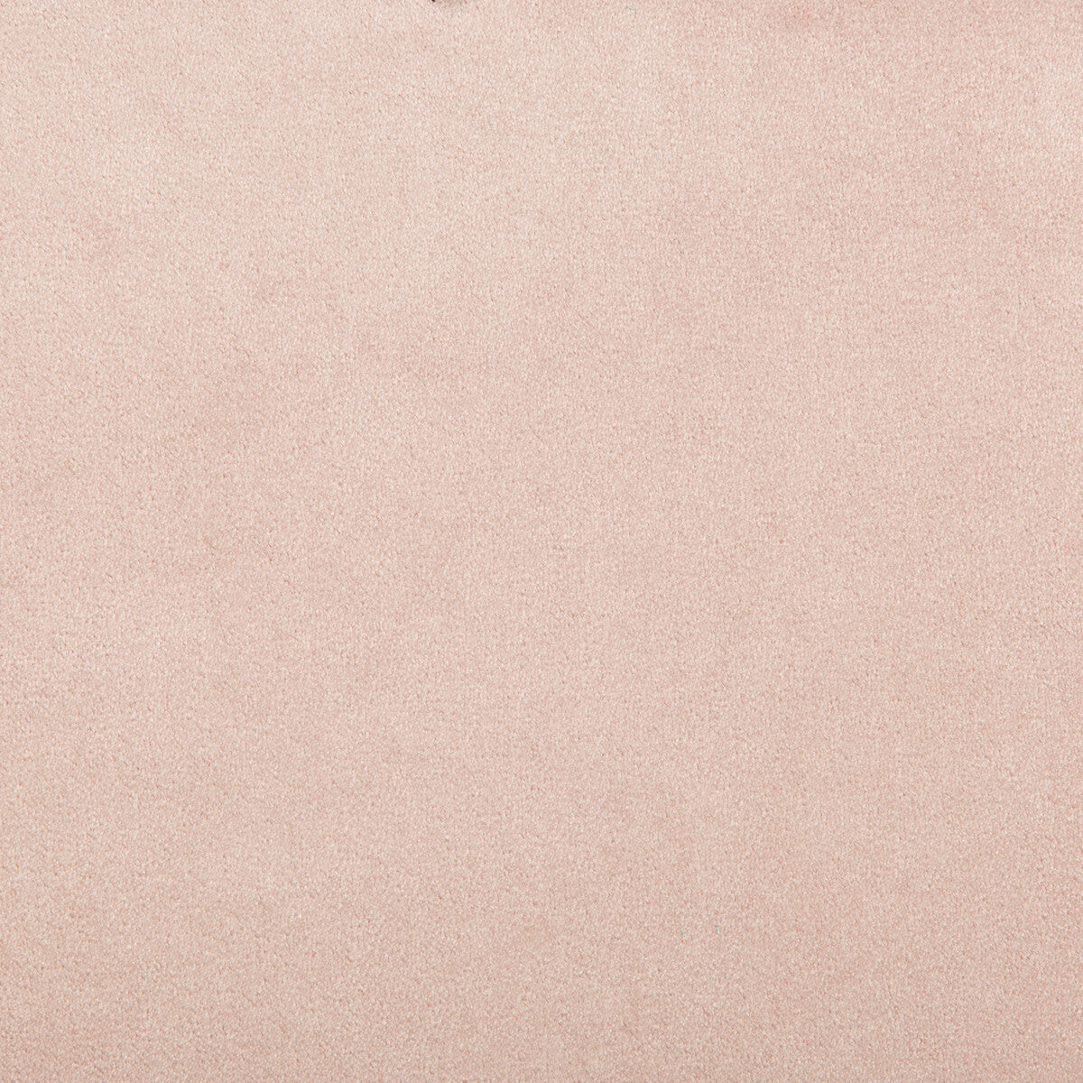 Madison Velvet fabric in flirt color - pattern 35402.17.0 - by Kravet Contract