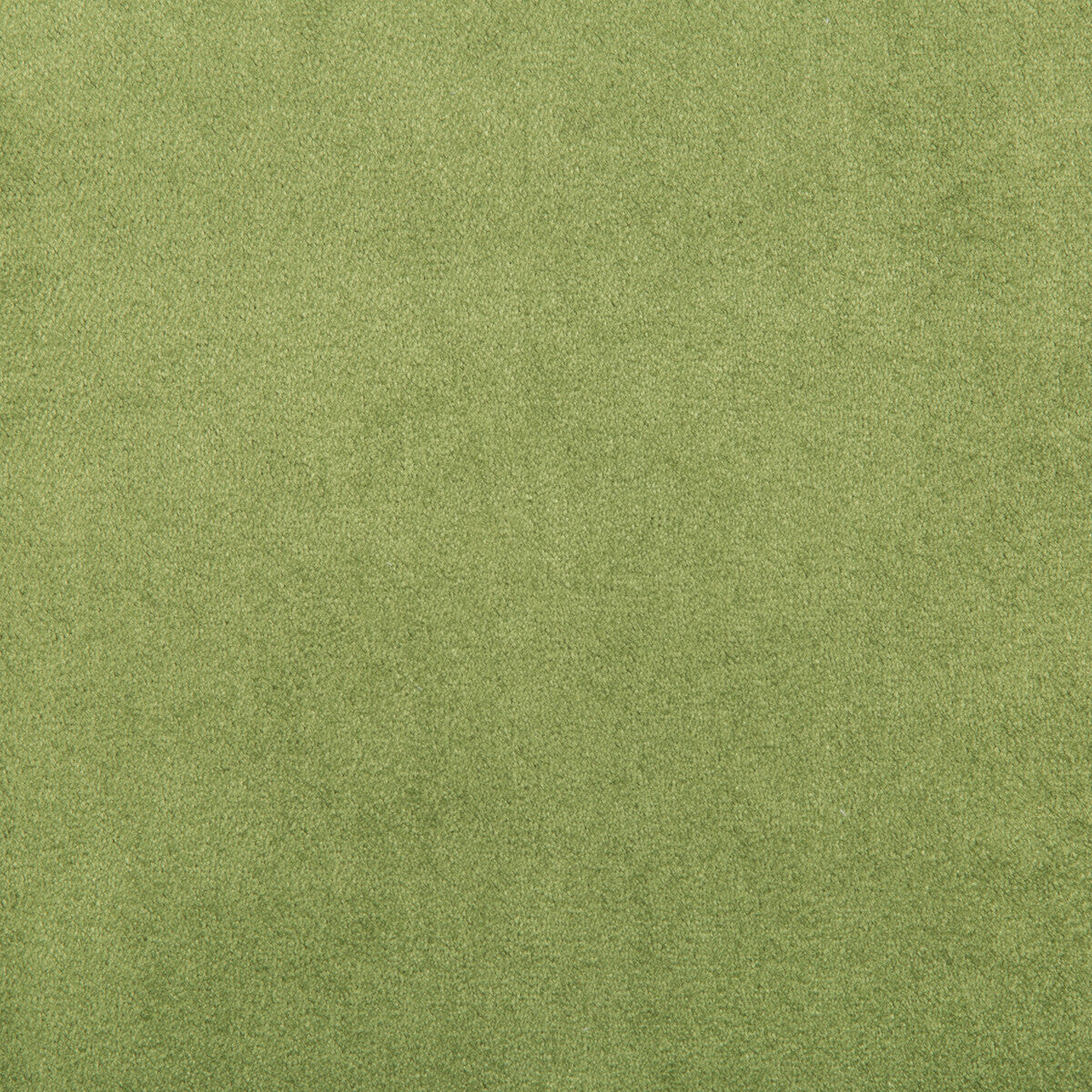 Madison Velvet fabric in lily pad color - pattern 35402.3.0 - by Kravet Contract