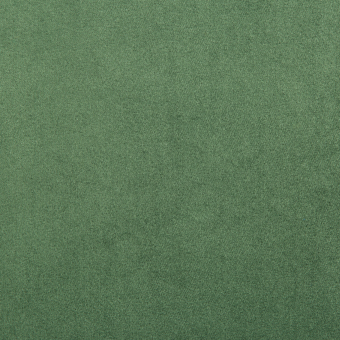 Madison Velvet fabric in bottle green color - pattern 35402.30.0 - by Kravet Contract