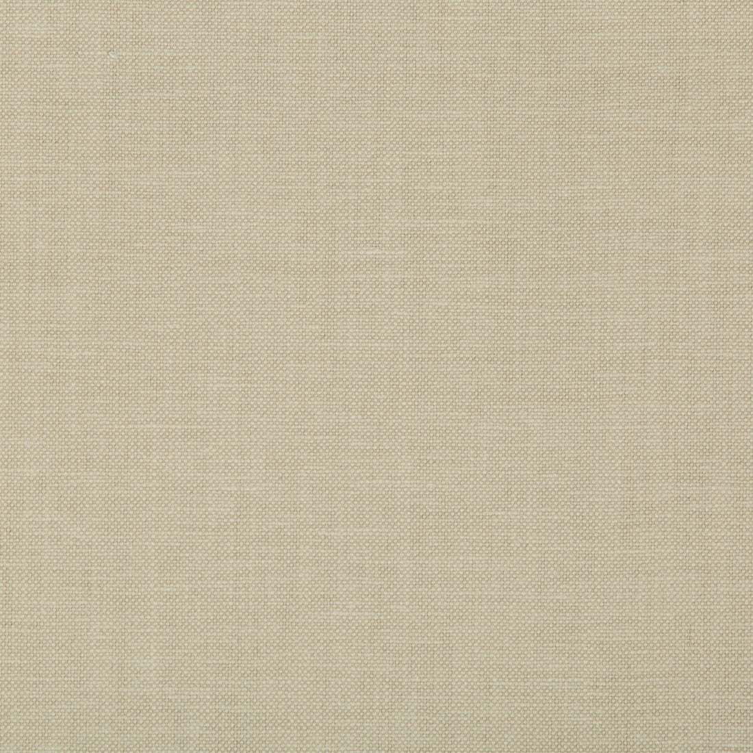 Oxfordian fabric in flax color - pattern 35543.16.0 - by Kravet Basics in the Bermuda collection