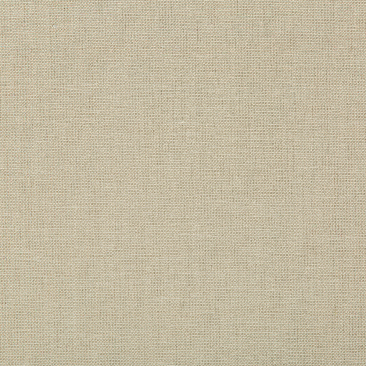 Oxfordian fabric in flax color - pattern 35543.16.0 - by Kravet Basics in the Bermuda collection