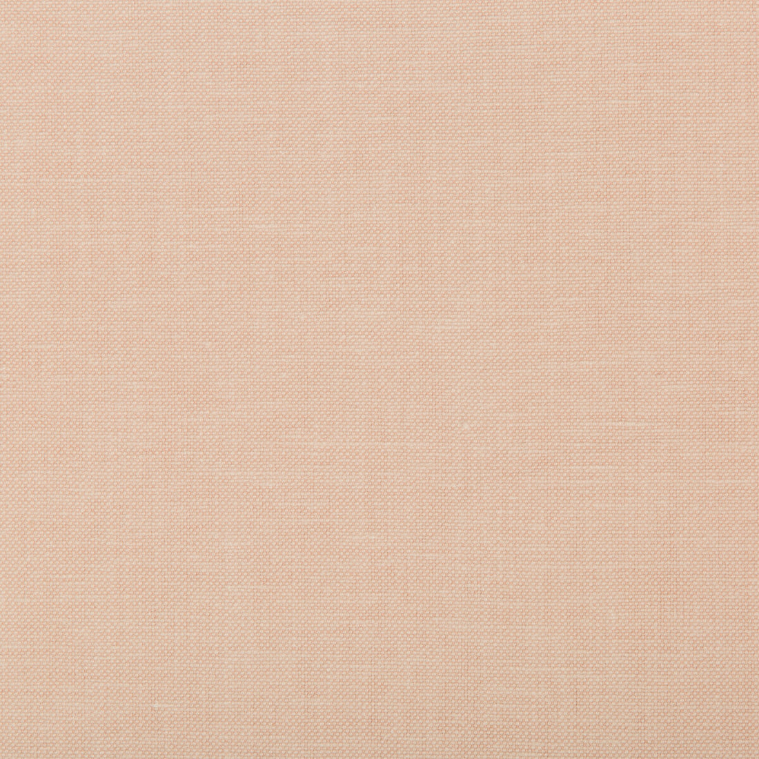 Oxfordian fabric in blush color - pattern 35543.17.0 - by Kravet Basics in the Bermuda collection