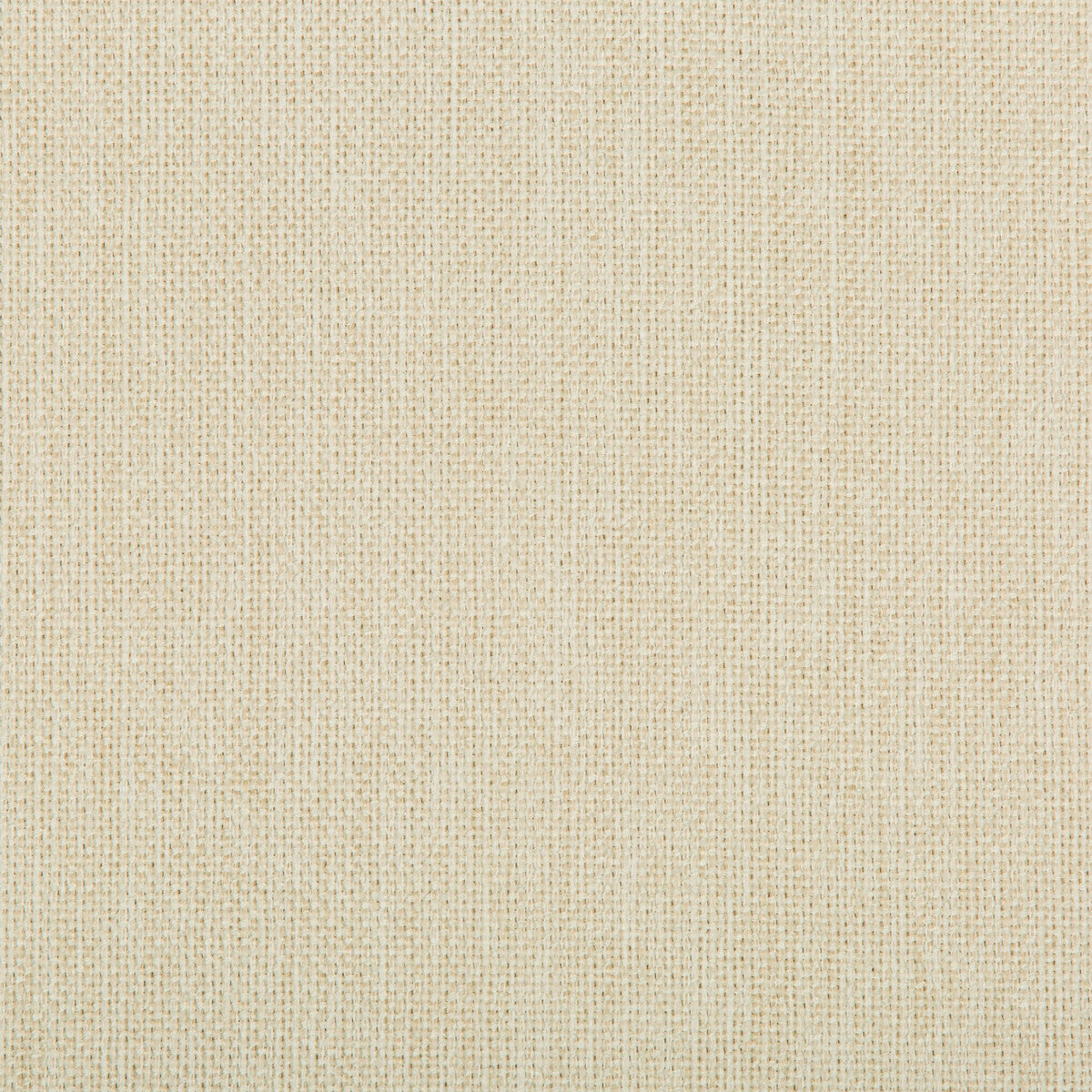 Williams fabric in sea salt color - pattern 35744.1.0 - by Kravet Contract in the Value Kravetarmor collection