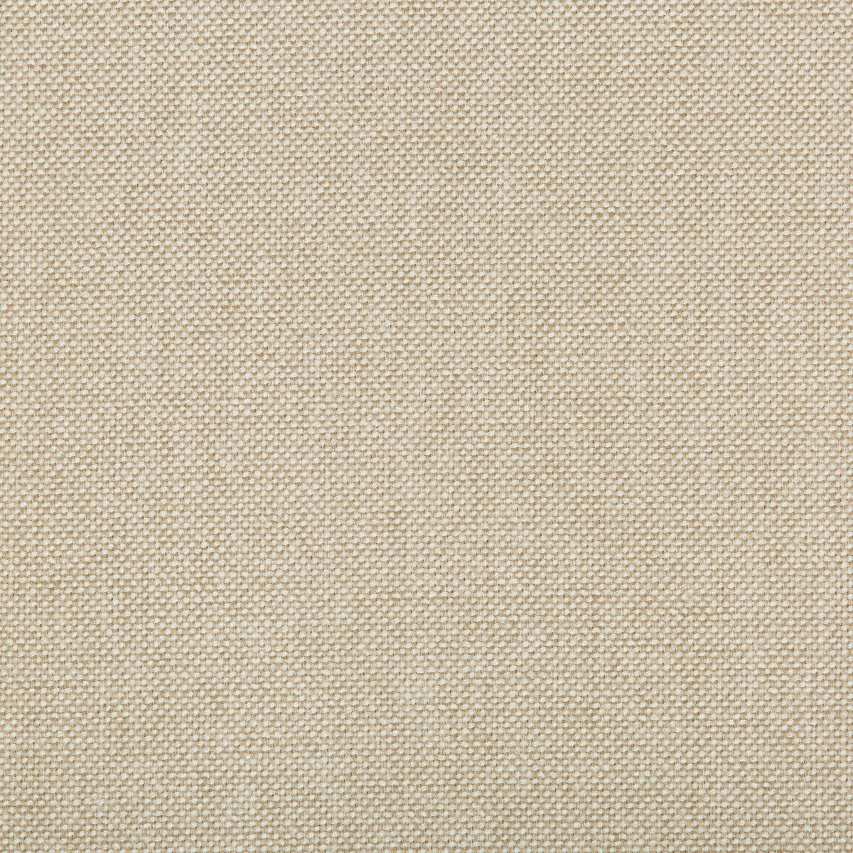 Williams fabric in coconut color - pattern 35744.111.0 - by Kravet Contract in the Value Kravetarmor collection