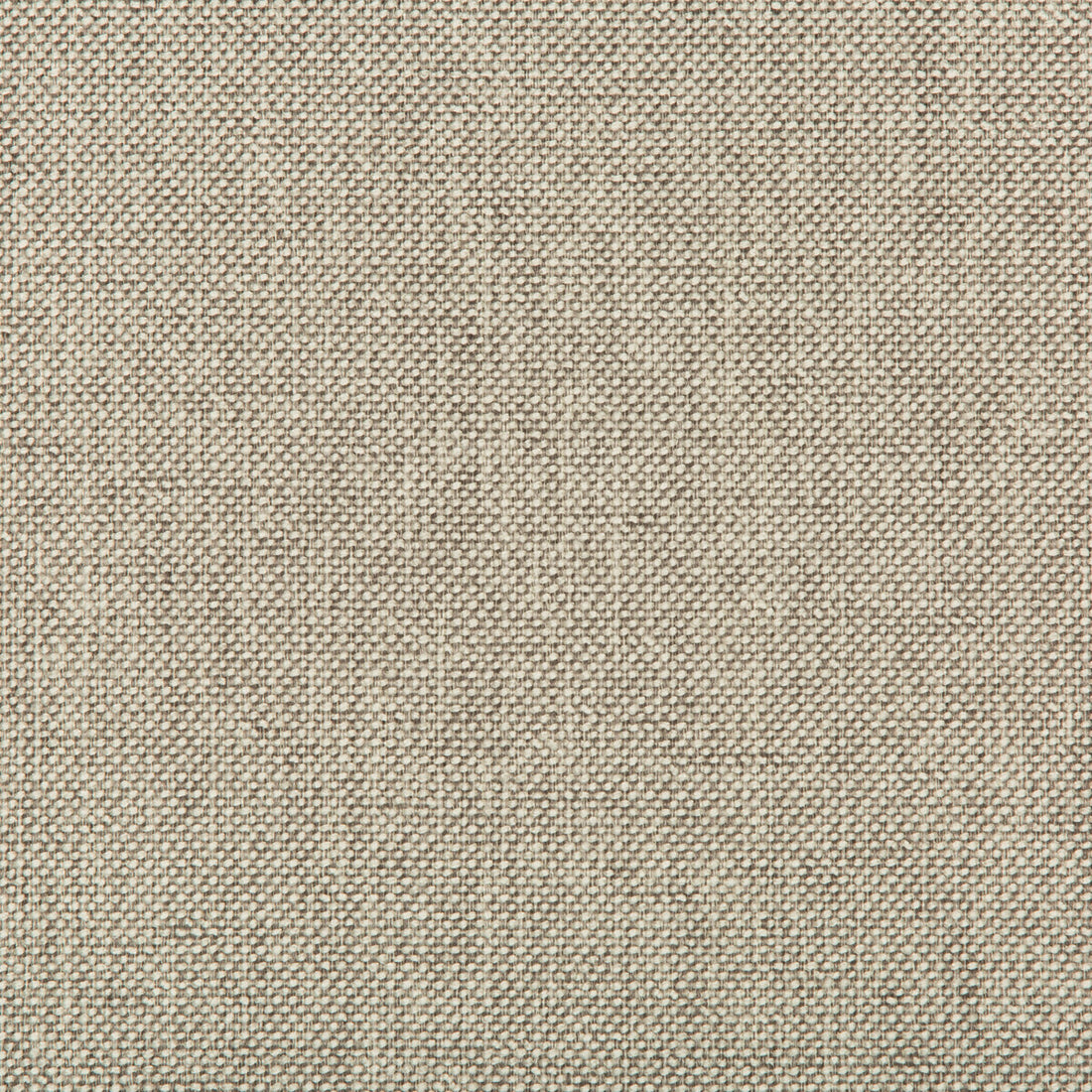 Williams fabric in pumice color - pattern 35744.1111.0 - by Kravet Contract in the Value Kravetarmor collection