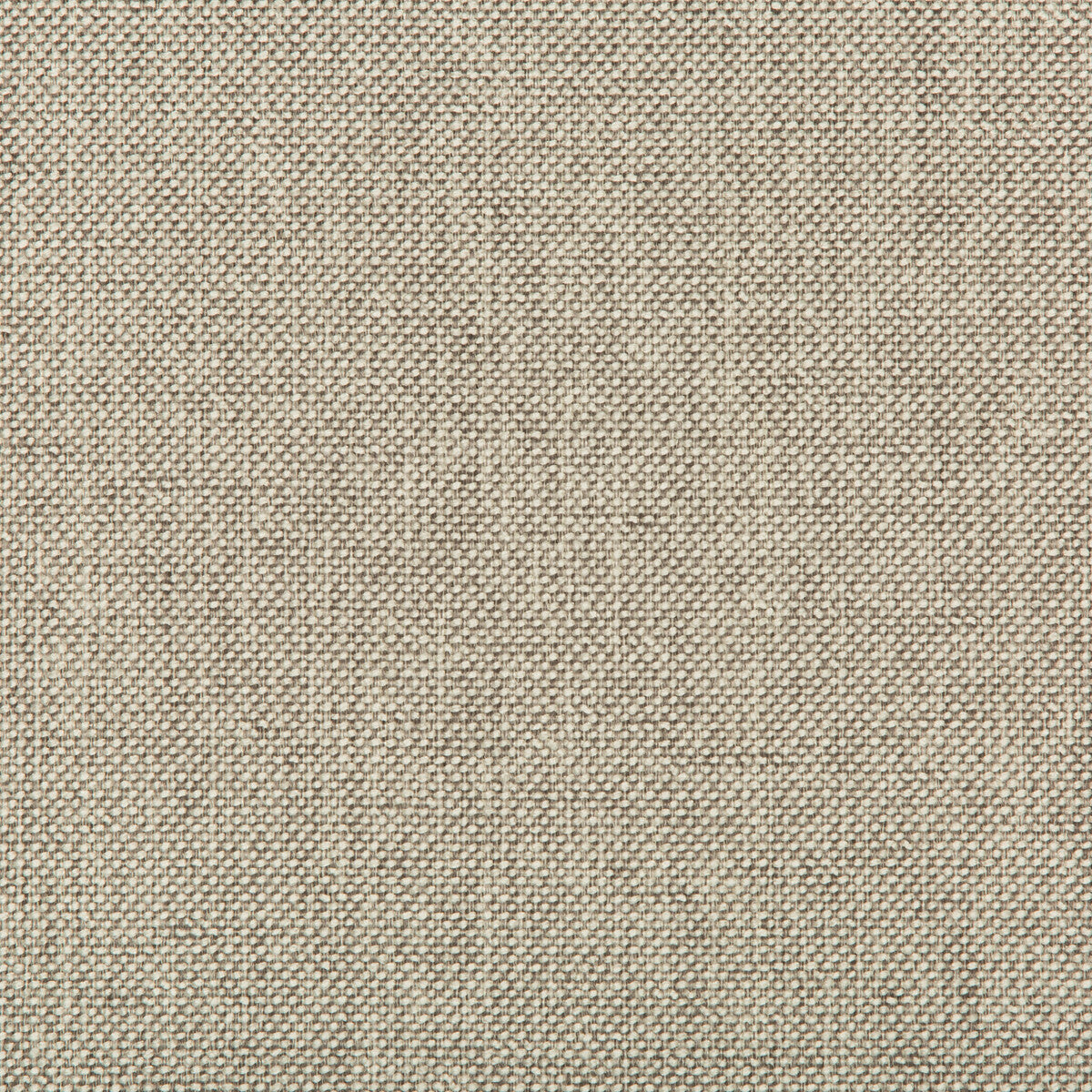 Williams fabric in pumice color - pattern 35744.1111.0 - by Kravet Contract in the Value Kravetarmor collection