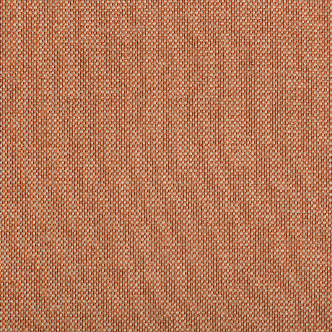 Williams fabric in necture color - pattern 35744.12.0 - by Kravet Contract in the Value Kravetarmor collection