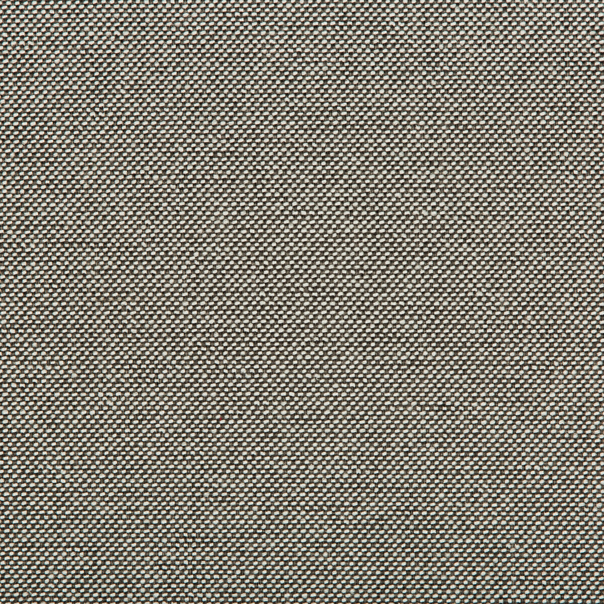 Williams fabric in aluminum color - pattern 35744.121.0 - by Kravet Contract in the Value Kravetarmor collection