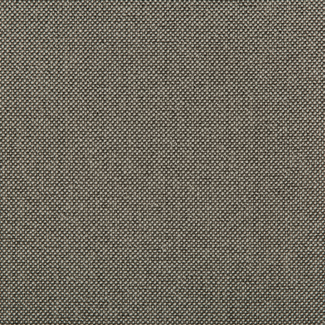 Williams fabric in nickel color - pattern 35744.21.0 - by Kravet Contract in the Value Kravetarmor collection