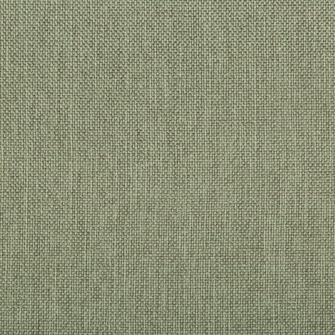Williams fabric in spearmint color - pattern 35744.23.0 - by Kravet Contract in the Value Kravetarmor collection