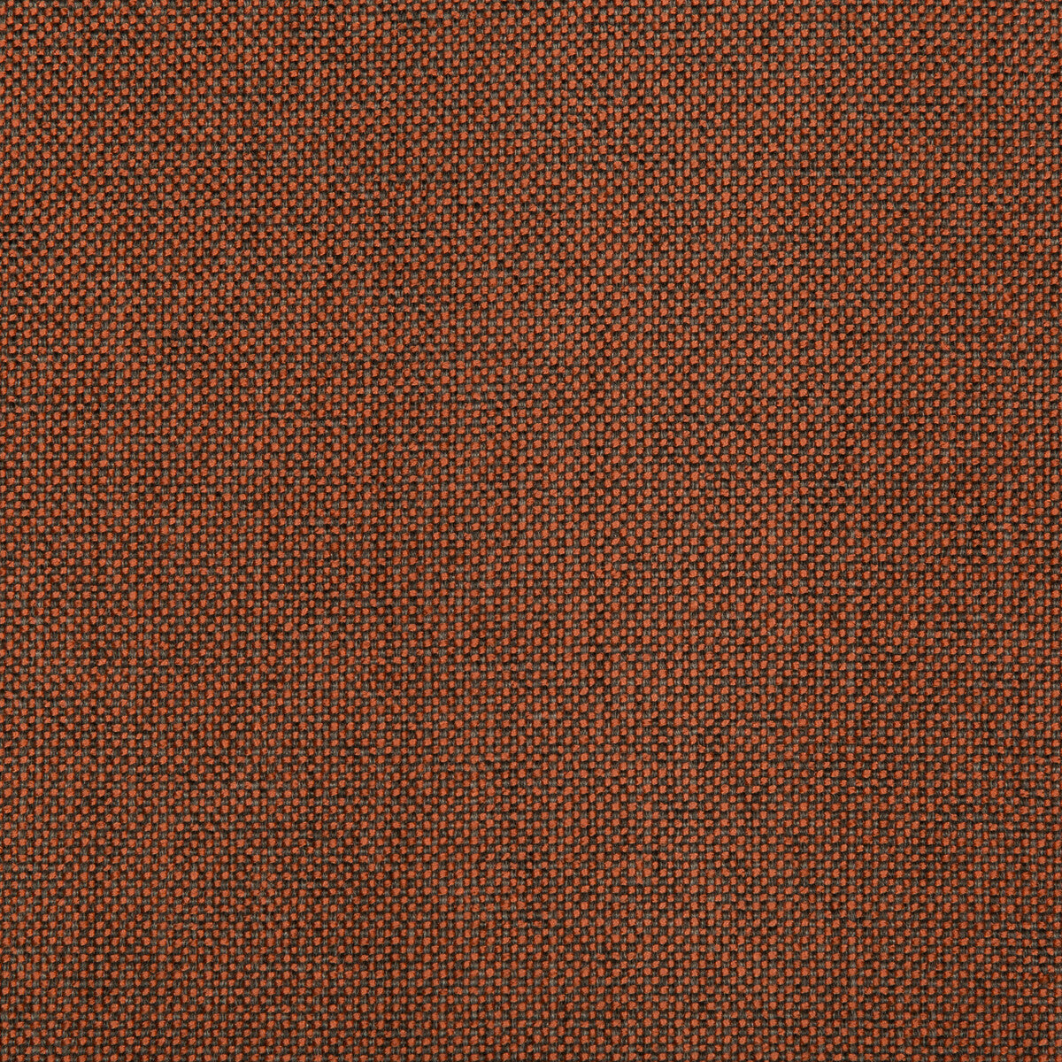 Williams fabric in spice color - pattern 35744.24.0 - by Kravet Contract in the Value Kravetarmor collection