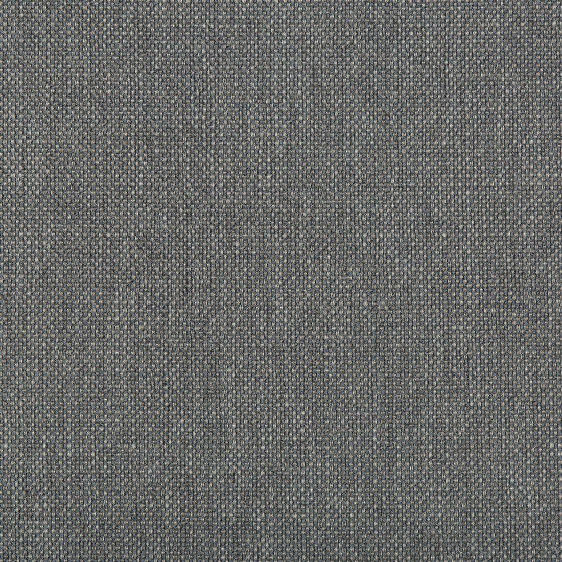 Williams fabric in heron color - pattern 35744.511.0 - by Kravet Contract in the Value Kravetarmor collection