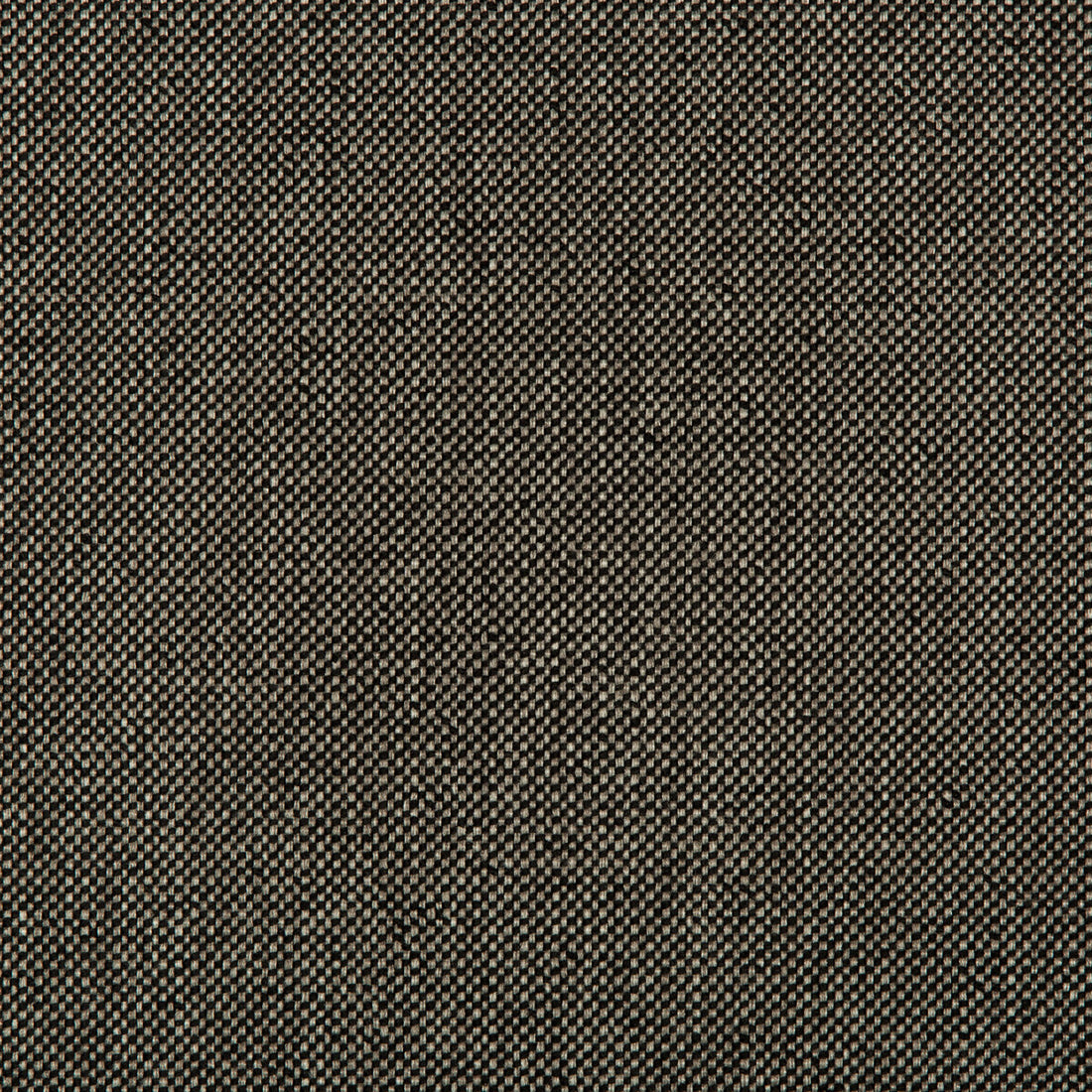 Williams fabric in obsidian color - pattern 35744.811.0 - by Kravet Contract in the Value Kravetarmor collection