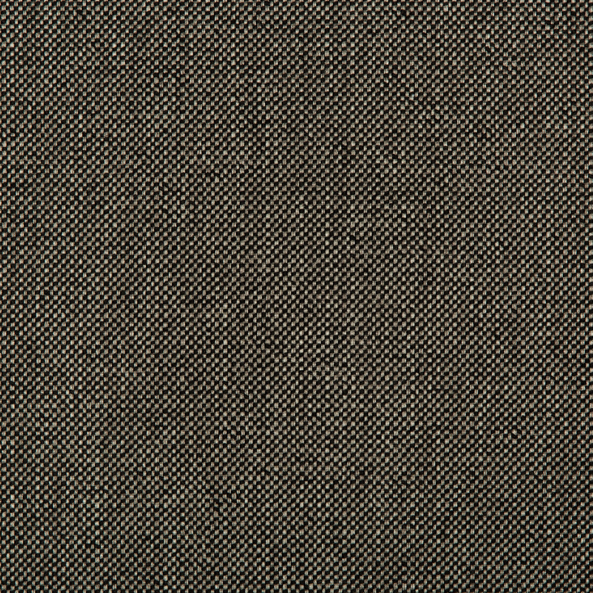 Williams fabric in obsidian color - pattern 35744.811.0 - by Kravet Contract in the Value Kravetarmor collection