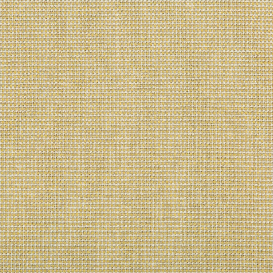 Burr fabric in lemon drop color - pattern 35745.14.0 - by Kravet Contract in the Value Kravetarmor collection