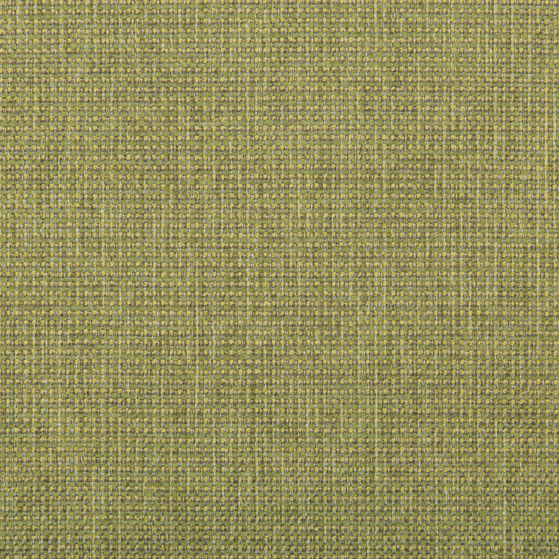 Burr fabric in meadow color - pattern 35745.314.0 - by Kravet Contract in the Value Kravetarmor collection