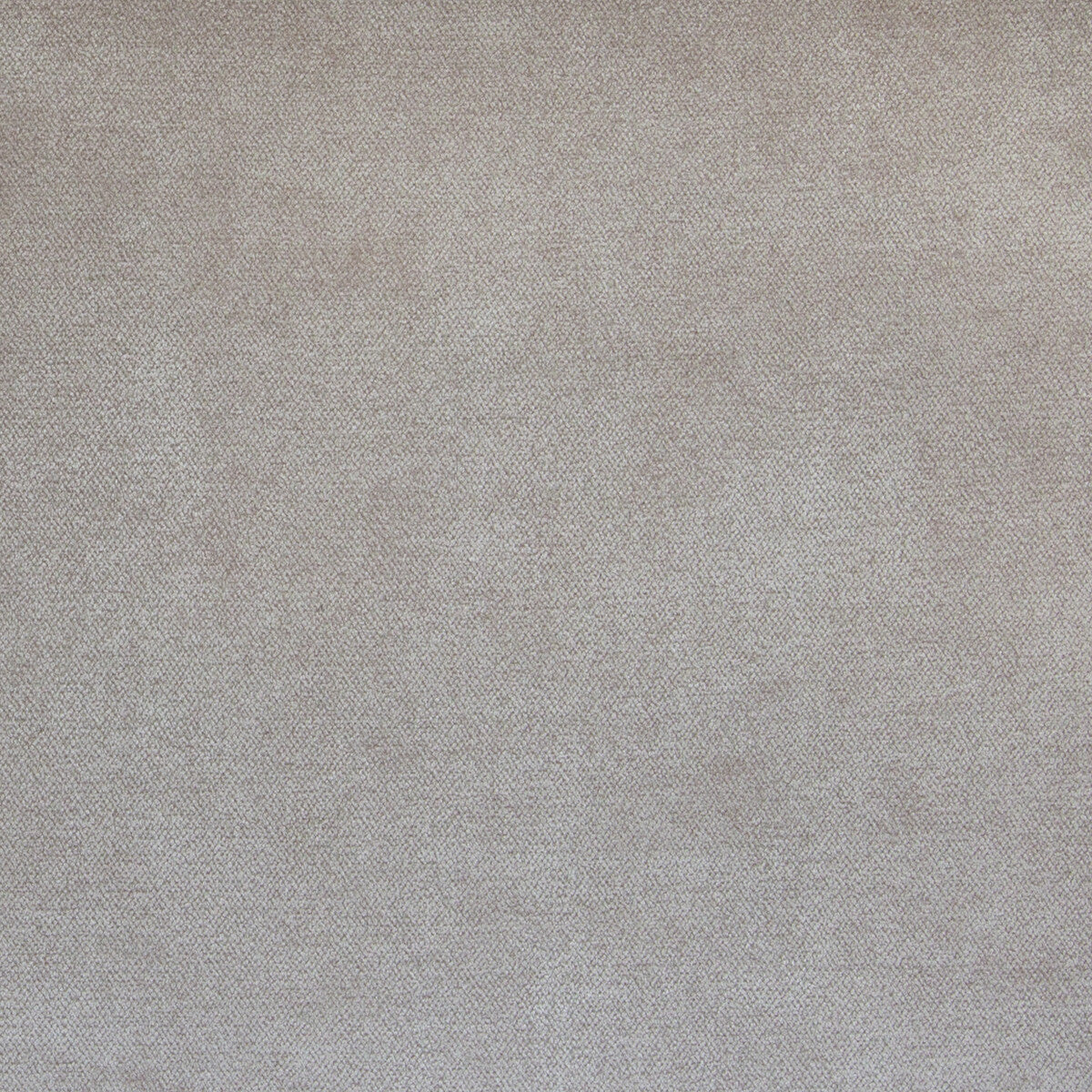 Simbel fabric in cameo color - pattern 35854.17.0 - by Kravet Couture in the Windsor Smith Naila collection