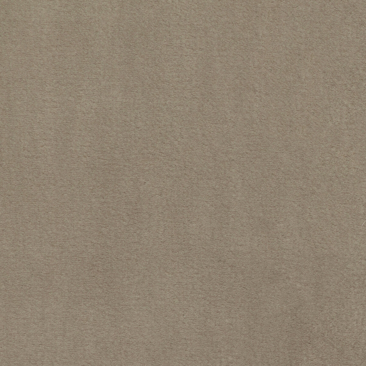 Plushilla fabric in beige color - pattern 36061.16.0 - by Kravet Basics in the Monterey collection