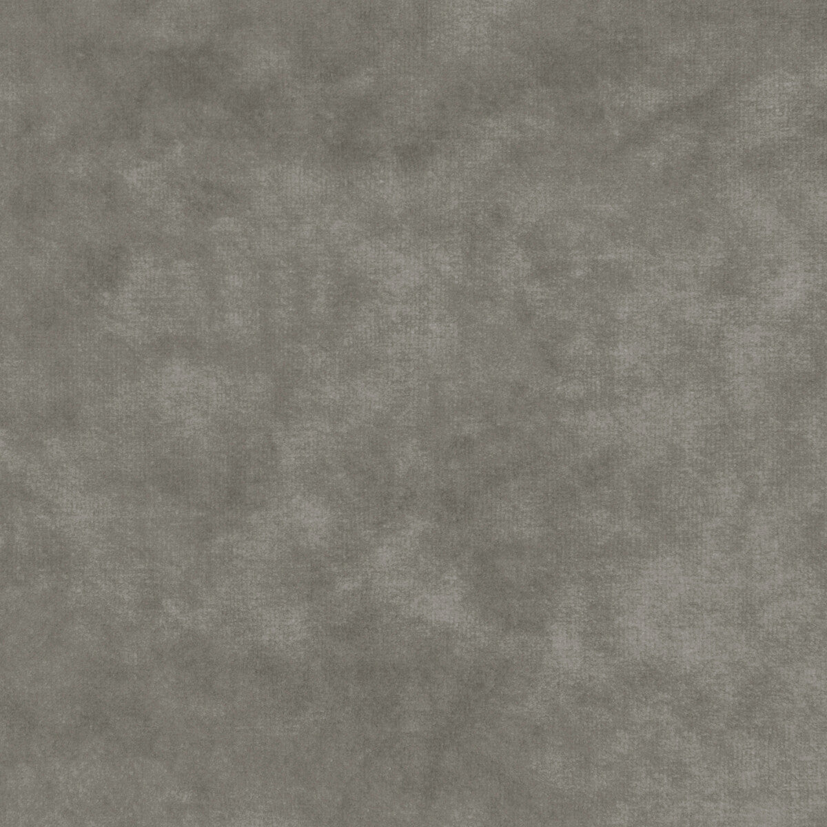 Regal Velvet fabric in platinum color - pattern 36064.11.0 - by Kravet Couture