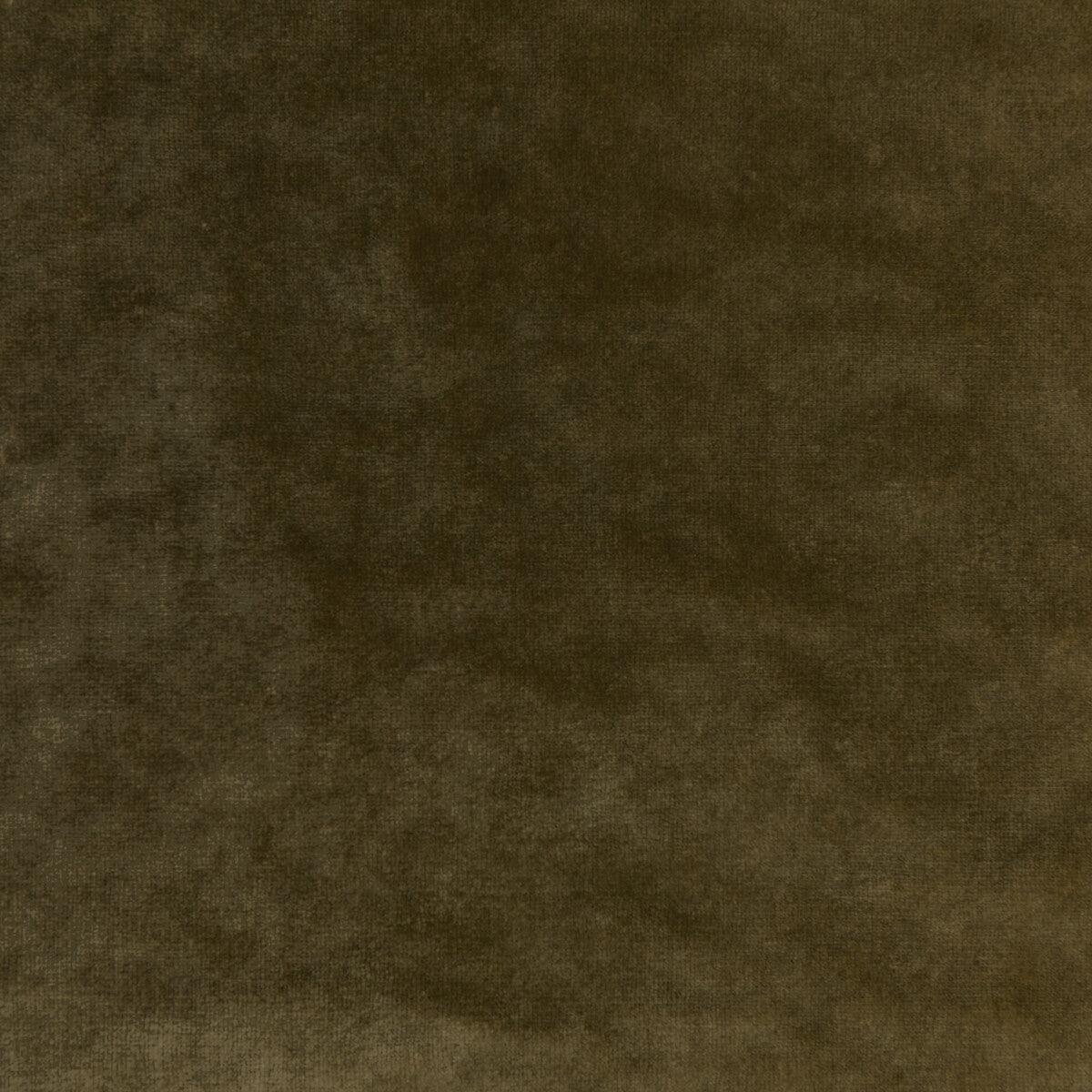 Regal Velvet fabric in olive color - pattern 36064.303.0 - by Kravet Couture