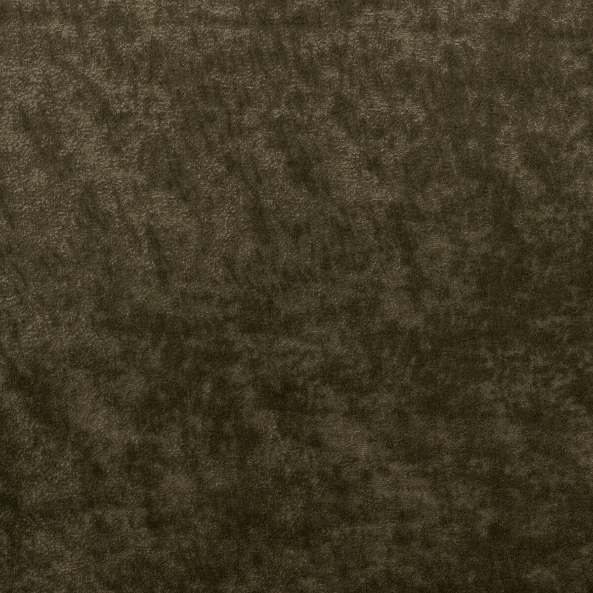 Triumphant fabric in truffle color - pattern 36065.106.0 - by Kravet Couture