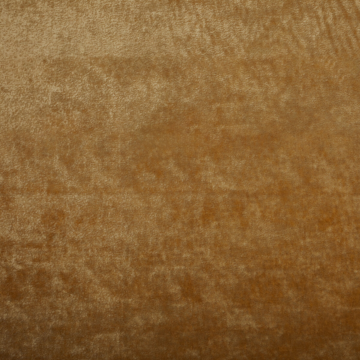 Triumphant fabric in tuscan color - pattern 36065.12.0 - by Kravet Couture