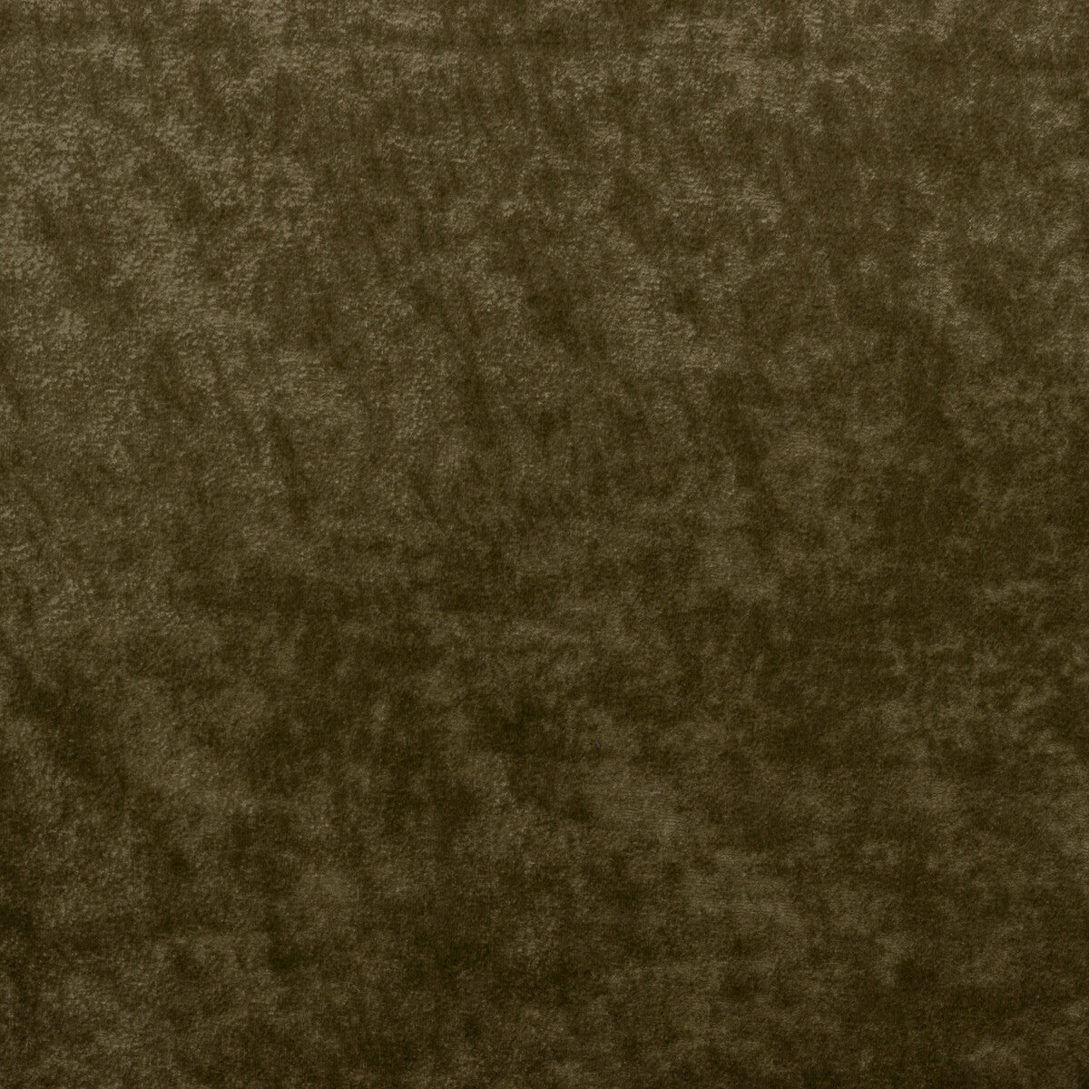 Triumphant fabric in olive color - pattern 36065.30.0 - by Kravet Couture