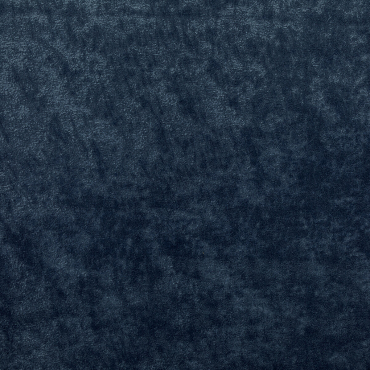 Triumphant fabric in royal color - pattern 36065.5.0 - by Kravet Couture