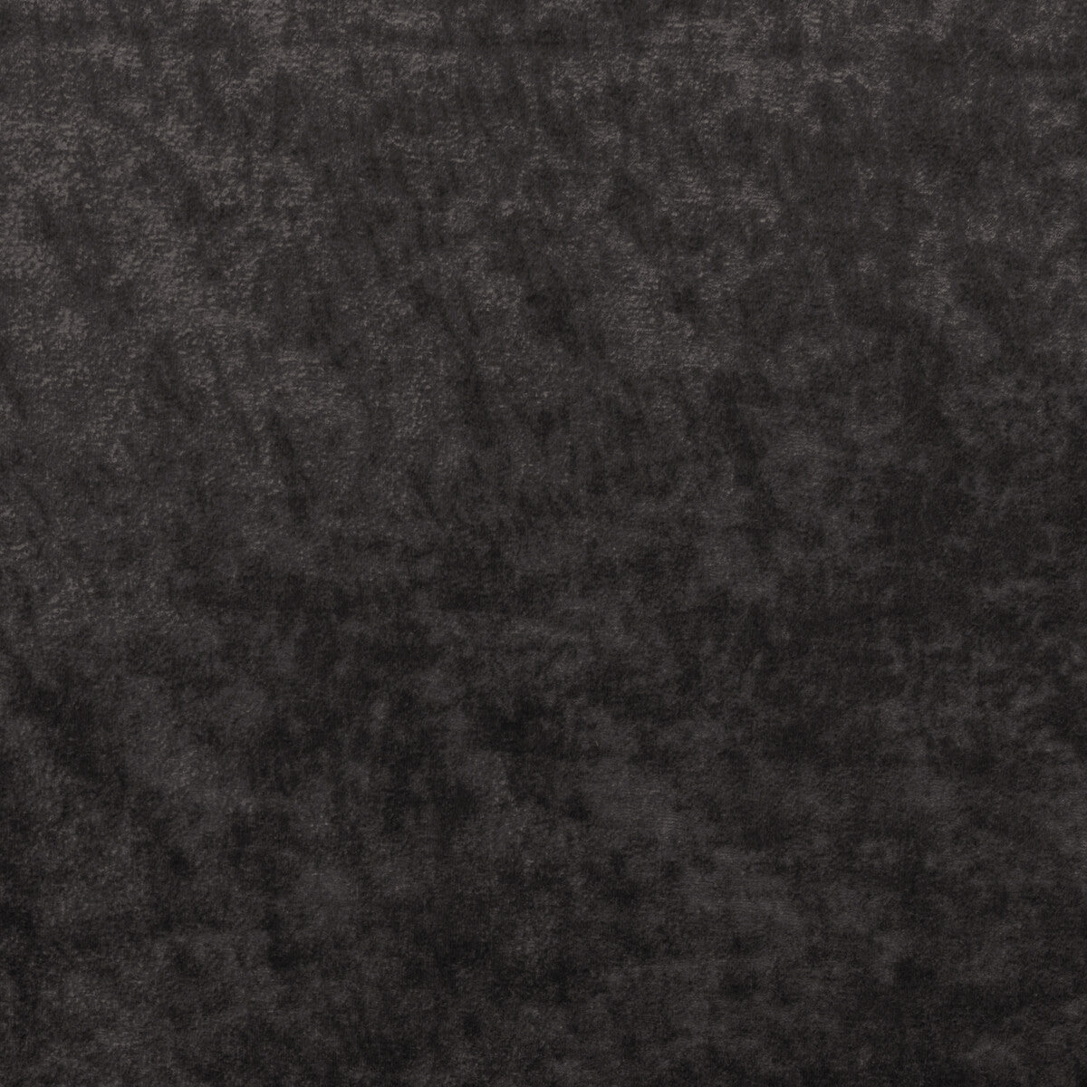Triumphant fabric in graphite color - pattern 36065.821.0 - by Kravet Couture