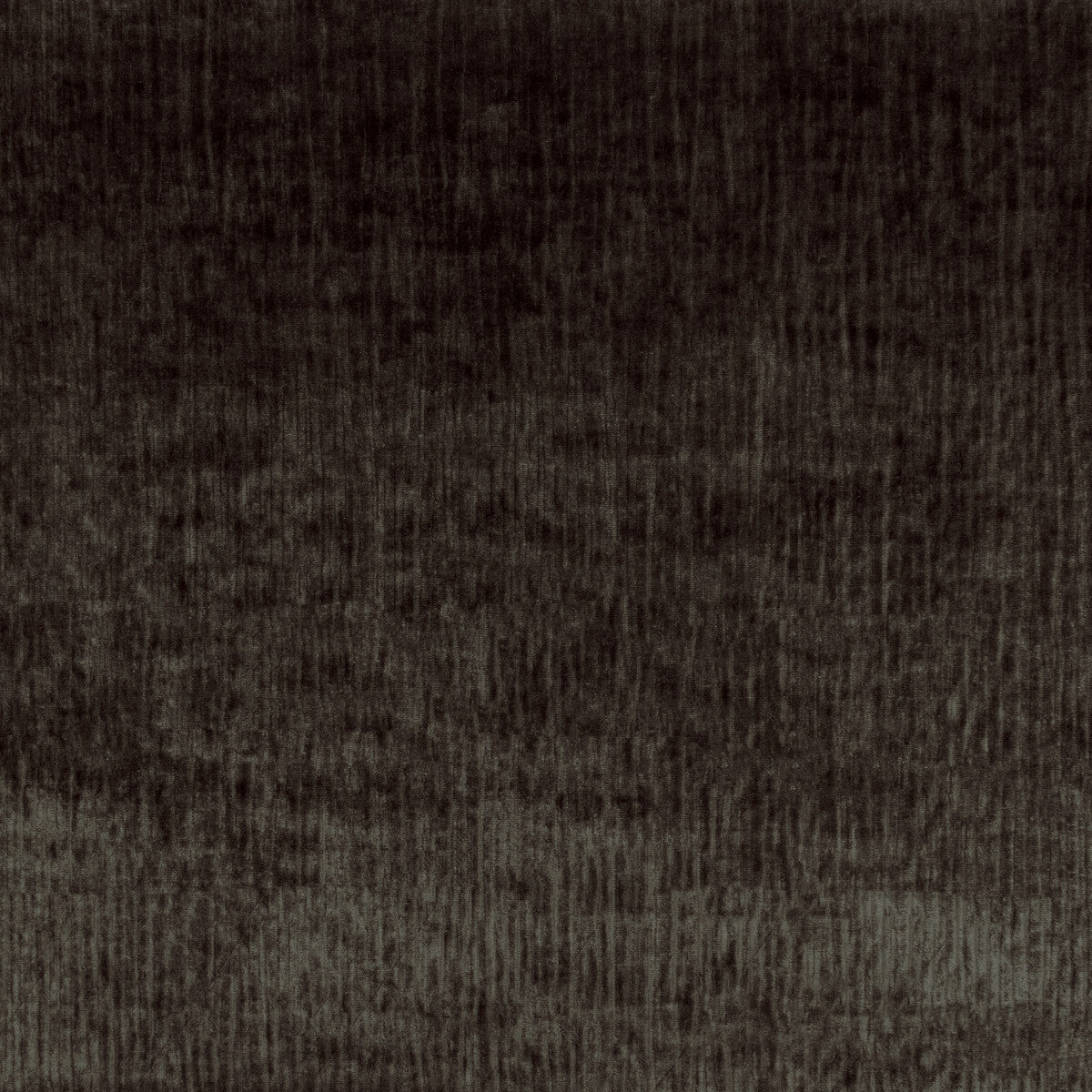 Majesty Velvet fabric in truffle color - pattern 36066.106.0 - by Kravet Couture
