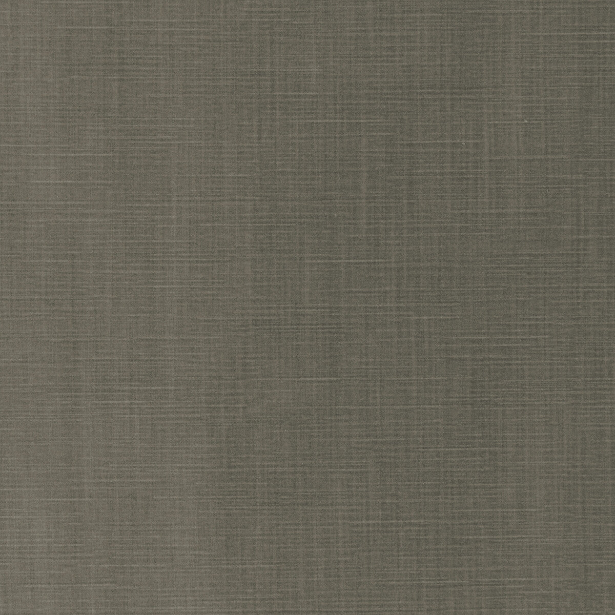 Gentry Velvet fabric in platinum color - pattern 36067.11.0 - by Kravet Couture