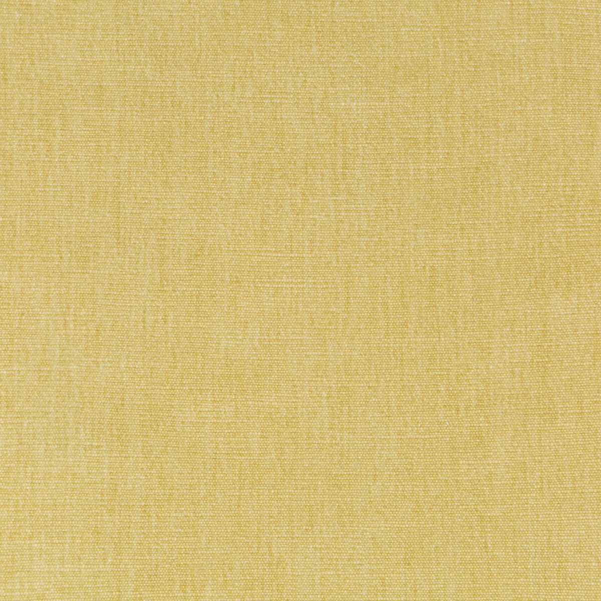 Kravet Smart fabric in 36076-116 color - pattern 36076.116.0 - by Kravet Smart in the Performance Kravetarmor collection