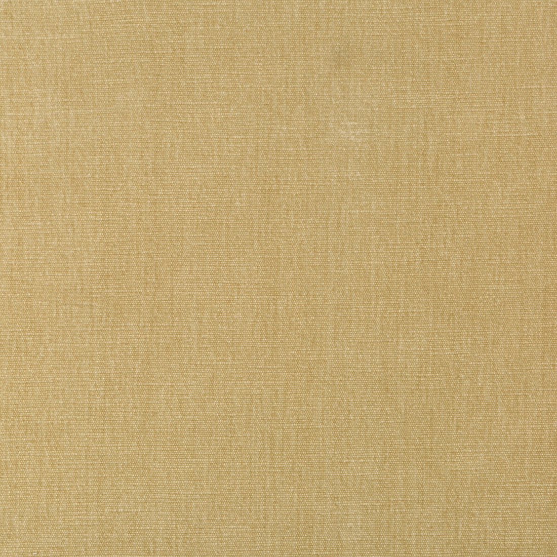 Kravet Smart fabric in 36076-161 color - pattern 36076.161.0 - by Kravet Smart in the Sumptuous Chenille II collection