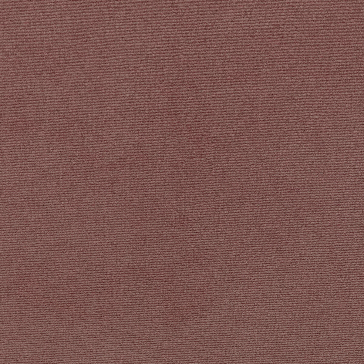 Kravet Smart fabric in 36111-77 color - pattern 36111.77.0 - by Kravet Smart in the Performance Kravetarmor collection