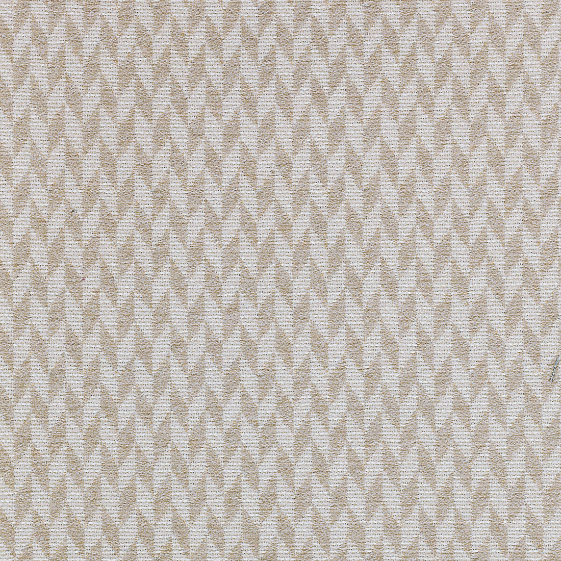 Tupai Outdoor fabric in 211 color - pattern 36200.106.0 - by Kravet Couture in the Missoni Home collection