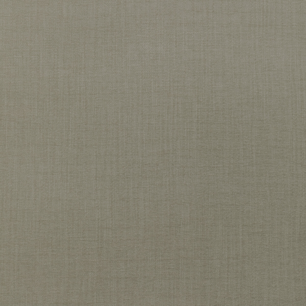 Accommodate fabric in pumice color - pattern 36255.106.0 - by Kravet Contract in the Supreen collection
