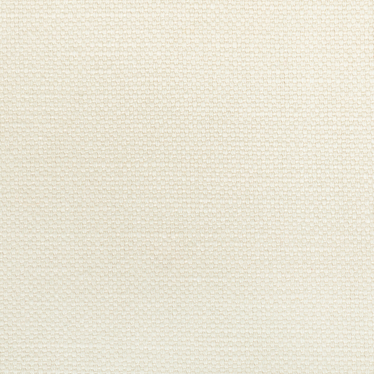 Carson fabric in lace color - pattern 36282.1011.0 - by Kravet Basics