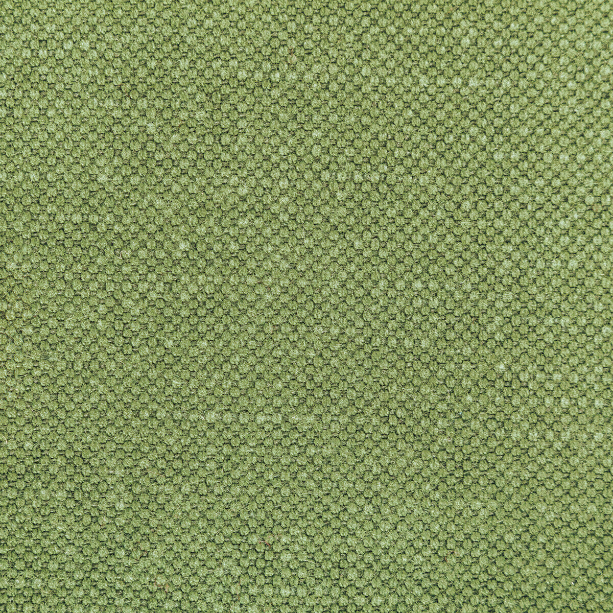Carson fabric in frog color - pattern 36282.314.0 - by Kravet Basics