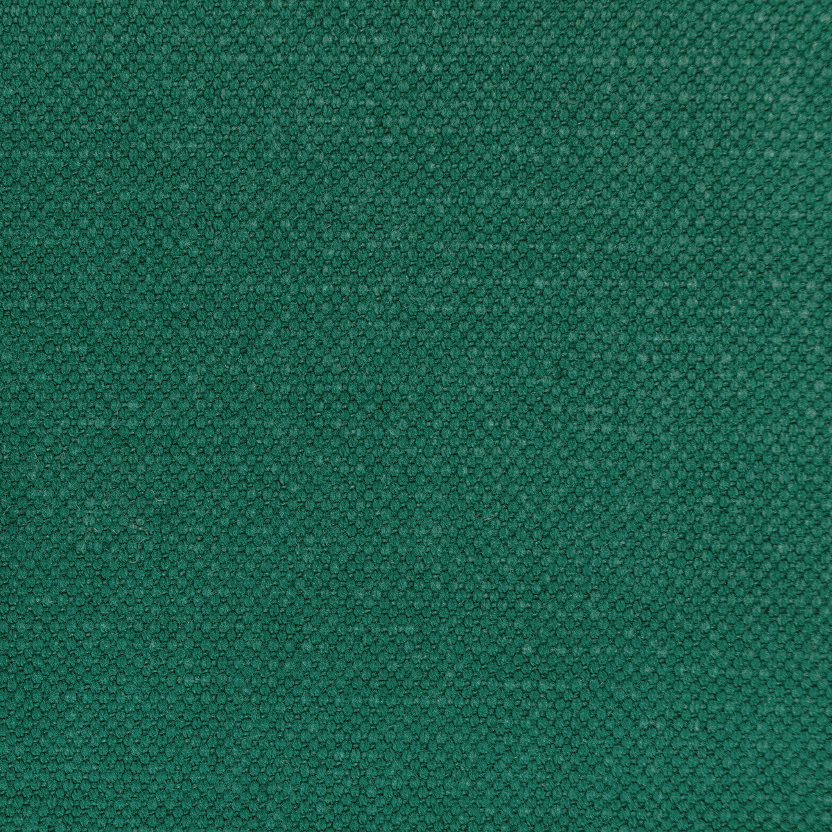 Carson fabric in garden color - pattern 36282.353.0 - by Kravet Basics
