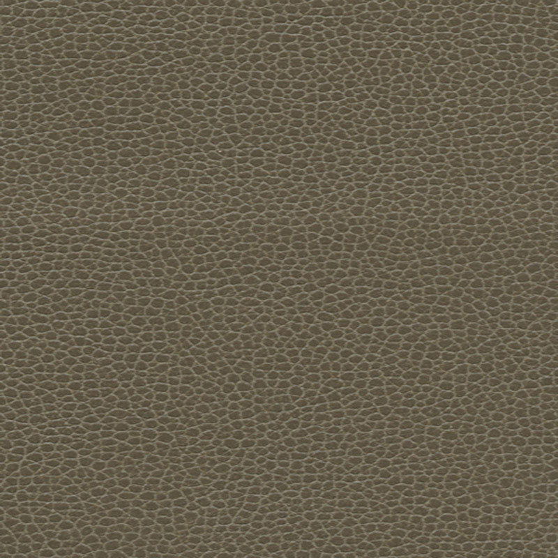 Promessa fabric in woodpecker color - pattern number 363-3462 - by Schumacher in the Ultraleather collection
