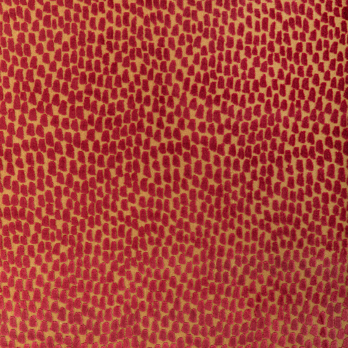 Foundrae fabric in tango color - pattern 36320.417.0 - by Kravet Design in the Nadia Watts Gem collection